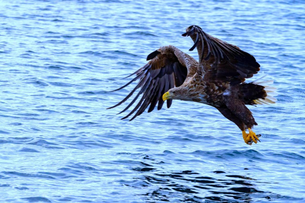 Kvalvika Retreat - Lofoten Leknes Dış mekan fotoğraf